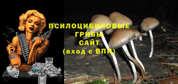 a pvp Алзамай