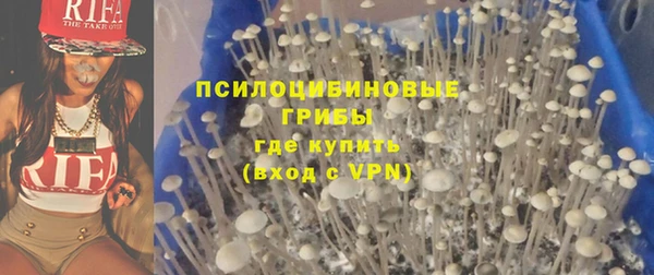 a pvp Алзамай